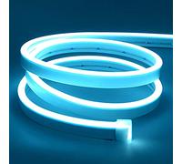 Lamomo Neon Ruban Led 5m, 12V Bleu Glacier Bande Led, Flexible Étanche Découpable Silicone Bandeau Lumineuse Led pour Intérieur Décoration, Chambre, DIY Sign (Adaptateur électrique non inclus)