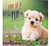 L'amour est un chiot : Une célébration canine des chiots les plus mignons du monde
