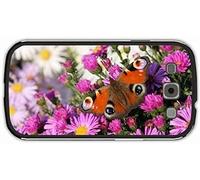 l'amour Et Le Chaos [Import]