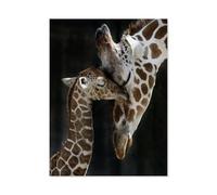 l'amour Maternel de la Girafe，1000 pièces pour Adultes, Jeu de Puzzle, Assemblage Fait Maison, Jouet intéressant（75x50cm）-M24