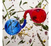 DIRTY PROJECTORS - LAMP LIT PROSE (LP+MP3) VINYL LP + MP3 NEUF