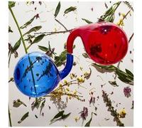 Dirty Projectors – Lamp Lit Prose – Vinyle 12"