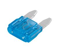 Lampa 100 pièces 12/32V 15A fusibles plats