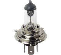 Lampa 24V Ampoule halogène Pro - H4 - 75/70W - P43t - 1 pc - boîte