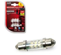 LAMPA Blister 2 lampes ampoules blanches 11X41 MM 6 LED SILURO 24V SV8 5-8