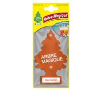 LAMPA Désodorisant Arbre Magique 'Ibiza Cocktail', Orange