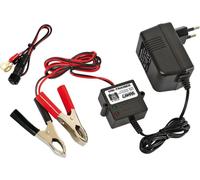 Lampa Uni Trainer pour batteries 12V 300mA