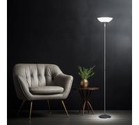 Lampadaire à Vasque Salon Métal Couleurs Titane Blanc E27