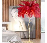 Lampadaire Œatural Plume D’Autruche Lampadaire,Moder Luxury Resi LED Lampadaire avec Annonce Dimmable Parfait pour Readig I Votre Prix Chambre À Manger Ou Bureau À Domicile, Red, 60x55cm