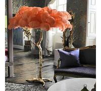 Lampadaire Œatural Plume D’Autruche Lampadaire,Moder Luxury Resi LED Lampadaire avec Annonce Dimmable Parfait pour Readig I Votre Prix Chambre À Manger Ou Bureau À Domicile, Orange, 60x55cm