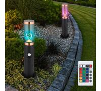 Borne lumineuse dimmable avec télécommande Lampadaire d'extérieur à LED avec détecteur de mouvement, changement de couleur RVB, plastique en acier inoxydable, 8,5W 806lm blanc chaud, DxH 7,6x45 cm, lot de 2