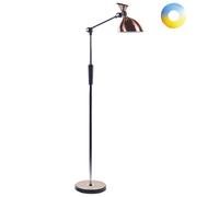 Lampadaire Cuivré en Matériaux Synthétiques 169 cm à 2 LED Bras Réglable Androme [EEK: E]