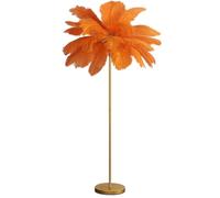 Lampadaire de Luxe En Plumes D'Autruche Pour La Décoration Des Et D'Hôtels, Éclairage Romantpour Chambre de Princesse, 160 Cm (Lumière)/Orae