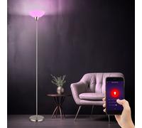 Lampadaire plafonnier nickel mat abat-jour en verre lampadaire opale lampe de salon, métal, contrôle par application CCT dimmable, Smart RGB LED 8,5W 806Lm, DxH 28x180 cm