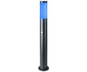 Lampadaire d'extérieur, dimmable, détecteur de mouvement, jardin, cour, lampe en acier inoxydable, télécommande dans un ensemble, y compris les lampes LED RGB