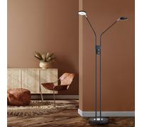Lampadaire Dimmable Lumière Du Jour Lampe De Lecture Noire 150Cm