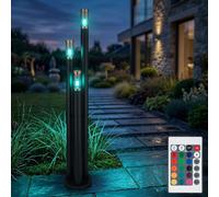 Lampes de chemin d'accès extérieur lampe d'extérieur en acier inoxydable lampadaire lampe de jardin noir, cuivre fumé, télécommande dimmable, 3x LED RGB 8,5W 806Lm, DxH 28 x 170 cm