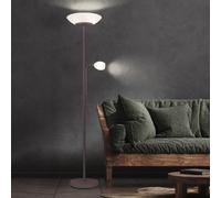 Lampadaire Éclairage Lecture à Vasque Flexible Bras Métal Rouille Design