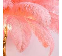 Lampadaire en Plume D’Autruche, Simple Moderne Plume Lampes sur Pied, éclairage LED, Lampe Plume De Style Art Moderne, Lampadaire Trépied pour Chambres Salon Salle à Manger Bureau, Pink