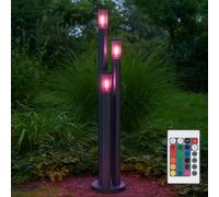 Lampadaire Extérieur Anthracite Fumée LED Télécommande RGB Variateur