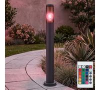 Lampadaire Extérieur Lampe à Pied RGB LED Télécommande Dimmable Acier Inoxydable