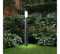 Lampadaire extérieur éclairage de jardin lampadaire éclairage de chemin acier inoxydable anthracite opale, plastique blanc, douille 1x E27, DxH 12,7x110 cm
