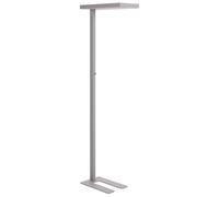 Lampadaire Industriel LED avec Bouton Variateur en Métal Argenté Taurus [EEK: E]