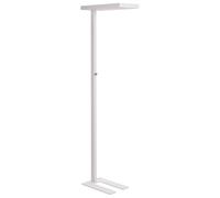 Lampadaire Industriel LED avec Bouton Variateur en Métal Blanc Taurus [EEK: E]