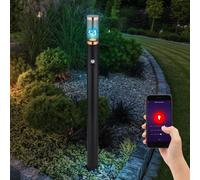 Lampe d'extérieur, fumée, applique murale, cuivre, lampadaire, détecteur de mouvement, noir, piquet de sol universel, contrôle par application, dimmable, Smart RGB LED 10W 806Lm 2700-6400K