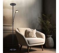 Lampadaire Lampe de Salon Variateur Flexo Lampadaire à Vasque LED H 180 CM