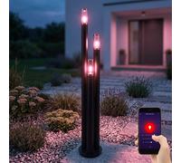 Lampadaire Lampe D'Extérieur Lampadaire Smart Google Alexa RGB LED Dimmable Inox