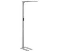 Lampadaire LED avec Détecteur de Mouvement en Métal Argenté Orion [EEK: E]