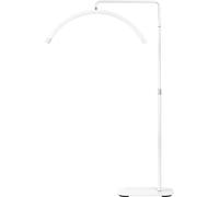 Lampadaire LED, luminosité réglable, température bicolore, blanc