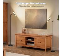Lampadaire LED Noir Simple et Moderne, Dimmable avec Télécommande, Projecteur Réglable pour Salon et Chambre à Coucher 18W