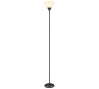Lampadaire Plafonnier opalin Lampadaire couleur titane Lampe de salon, métal, 1x douille E27, DxH 25x178,5 cm