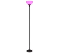 Lampadaire Smart LED dimmable Plafonnier opale Lampadaire couleur titane Lampe de salon, changement de couleur, App commande vocale,métal, 8,5W 806lm blanc chaud, DxH 25x178,5 cm