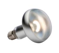 Lampe à lézarder - EXO TERRA - INTENSE BASKINGSPOT - Blanc - Caméléon - Reptile