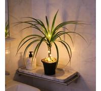 Lampe à lumière chaude en forme de dragon - Plante tropicale artificielle en pot avec guirlande lumineuse LED alimentée par USB - Veilleuse d'ambiance pour cuisine, bureau, décoration d'intérieur
