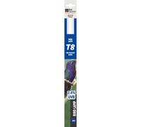 Lampe À Oiseaux T8 Tube Fluorescent UVA UVB Éclairage Pour Oiseaux Bird Systems