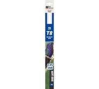 Lampe À Oiseaux T8 Tube Fluorescent UVA UVB Éclairage Pour Oiseaux Bird Systems