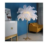 Lampe à plumes, Plume d'Autruche Naturelle Blanc Lampadaire Moderne Interrupteur Pied Dimmable Romantique Fille Chambre Décorative Lumière Sur Chambre/Salle À Manger/Salon(47.2 * 31.5in)