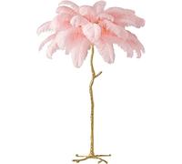 Lampe à plumes, Plume d'Autruche Naturelle Rose Blanc Lampadaire Moderne Interrupteur À Pied Dimmable Romantique Fille Chambre Décorative Lumière Sur Chambre/Salle Manger/Salon 1.6m(47.2 * 31.5in)