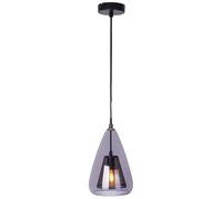 Lampe à suspendre 1 flamme Lampe de table à manger verre clair Suspension métal noir Lampe de salon, métal, 1x E14, DxH 16,5x150 cm