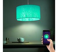 Lampe à suspendre Lampe à suspendre Lampe à suspendre Lampe de salle à manger, App-Sprachsteuerung Farbwechsler dimmbar CCT Timer, métal blanc, 1x LED 5W 470Lm blanc chaud-froid, DxH 38x120cm