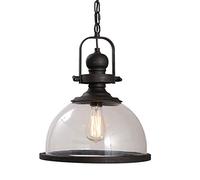 Lampe à suspension rétro industrielle et champêtre dôme/bol UFO abat-jour en verre transparent lustre plafonnier pour loft salon restaurant café cuisine bar luminaires (noir 12,2 pouces) Commemoration