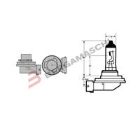 Ampoule halogène OSRAM H11 Standard 12V/ 55W, 1 pièce