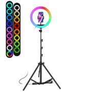 Lampe annulaire pour selfie, options de couleurs RVB, support pour téléphone portable, 10in RVB type 2