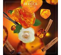 Lampe Berger Recharge de parfum d'ambiance Ambre poudré 1 L