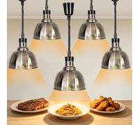 Lampe Chauffante Alimentaire Réglable, Lampe Chauffe Plat Buffet Suspendue Équipé d'une Ampoule Antidéflagrante de 250 W, Lampe Chauffante pour Aliments, Restaurant et Buffet (Edelstahlfarbe, 5)