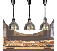 Lampe Chauffante Cuisine Professionnelle, Lampe Chauffe-Plats Suspendue avec Hauteur Réglable 60-180cm, Lampe Infrarouge 250W pour Restaurants, Hôtels et Cafétérias (C-25,3)